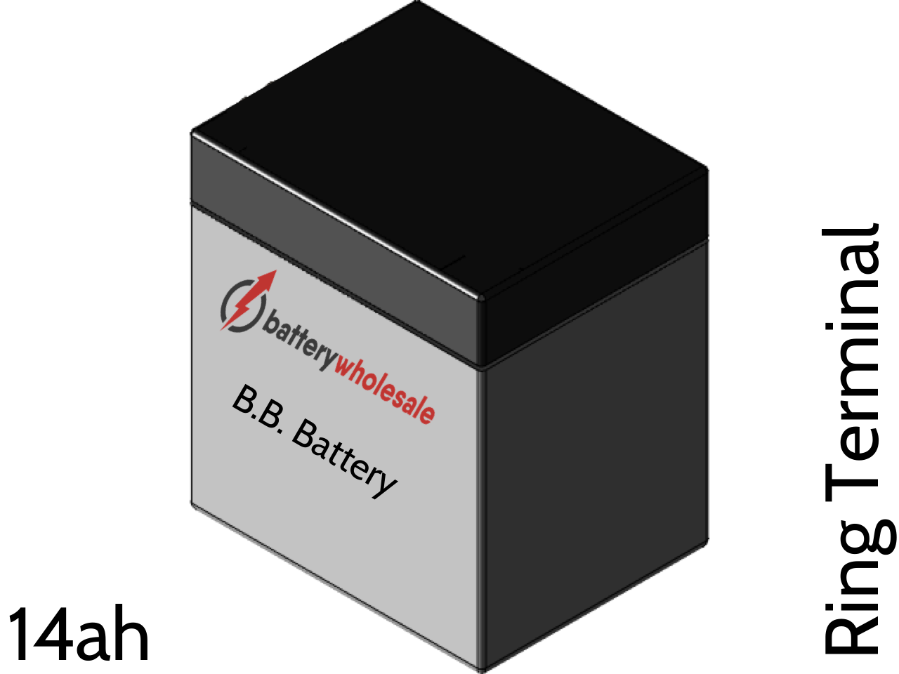 B.B. Battery BP13-6 battery